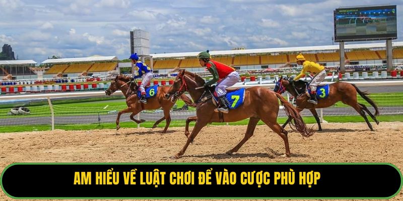 Am hiểu về luật chơi để vào cược phù hợp