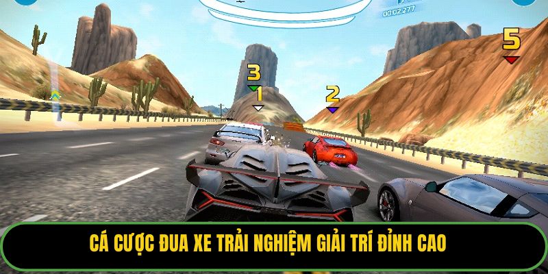 Cá cược đua xe trải nghiệm giải trí đỉnh cao