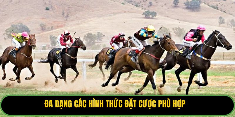 Đa dạng các hình thức đặt cược phù hợp