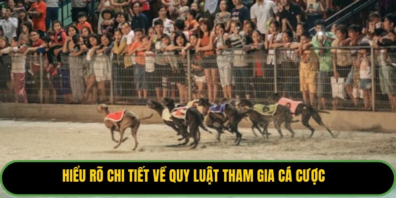 Hiểu rõ chi tiết về quy luật tham gia cá cược