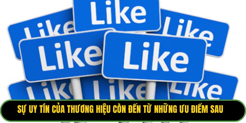 Sự uy tín của thương hiệu còn đến từ những ưu điểm sau