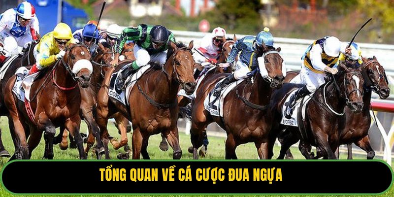 Tổng quan về cá cược đua ngựa 
